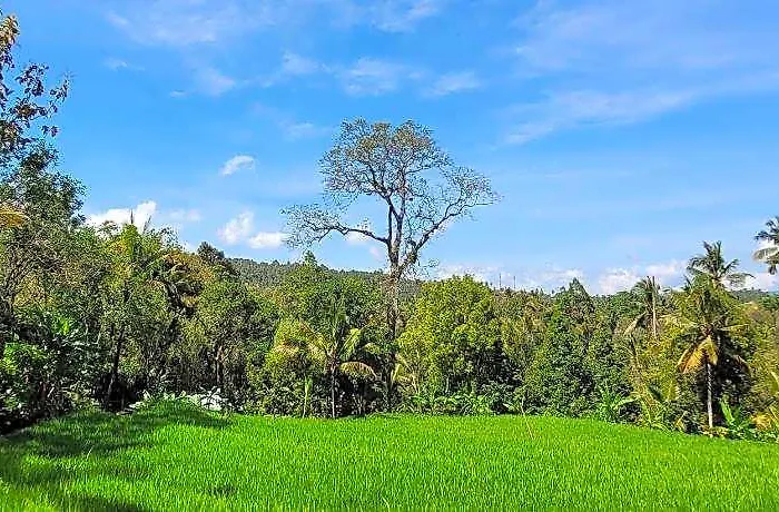Umah Yugadi Bali *